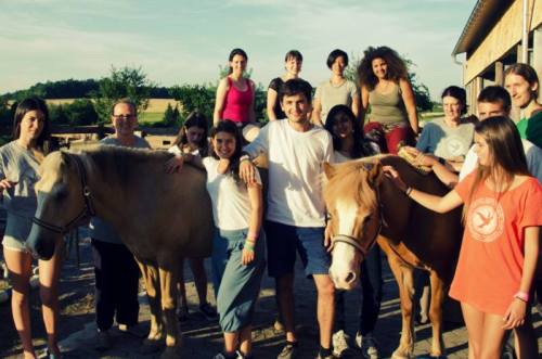 delavnica "Zavedanje s konji"